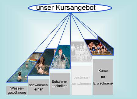 vfr-merzhausen-schwimmen-kursuebersicht-2025